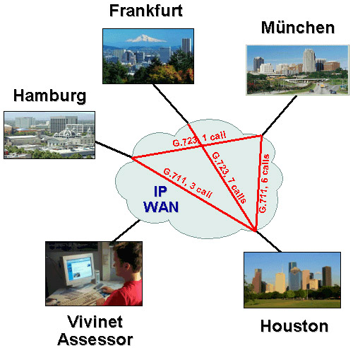 Vivinet Schema