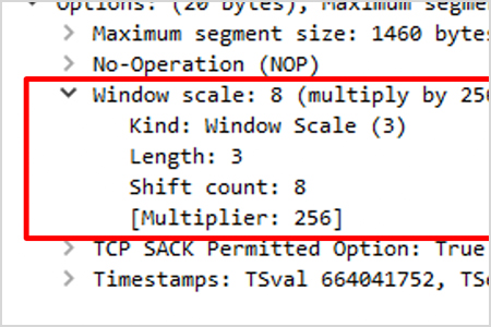 TCP Window & Application Blocksize als Ursache von schlechter Performance mit Wireshark und Allegro analysieren